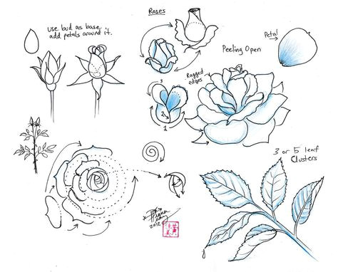 Drawing Fancy Flowers 100 Best How to Draw Tutorials Flowers Images Drawing Techniques