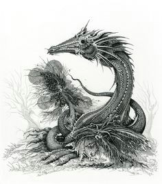 Drawing Fantastic Dragons 632 Best Dragons In Black and White Mostly Images In 2019