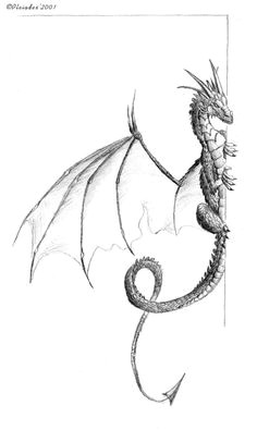 Drawing Fantasy Dragons 352 Best Dragons Fantasy Draw Doodle Images In 2019 Cool