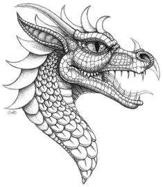 Drawing Fantasy Dragons 352 Best Dragons Fantasy Draw Doodle Images In 2019 Cool