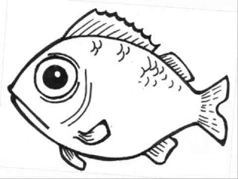 Drawing Fish Eyes How to Draw Fish Cartoon and Fish Tail Youtube