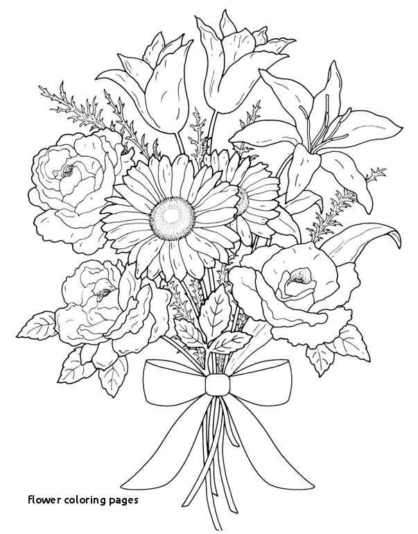 Drawing Flower Hd Photo the A Z Guide Of Flower Images Hd