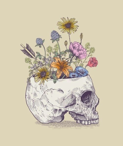 Drawing Flower Head Pin by Haider A On Anatomy Art Pinterest Drawings Skull Art