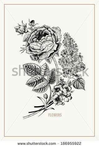 Drawing Flower Horse A Ea A K Ilustrace A Kresby Shutterstock Tattoos Tattoos Lilac