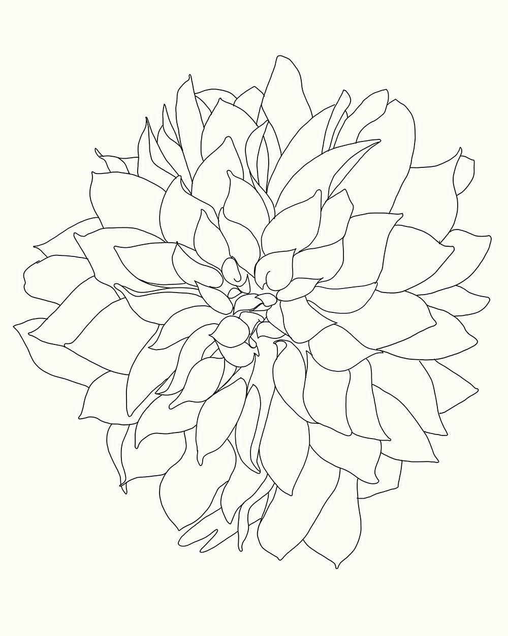 Drawing Flower Making Dahlia Art Pinterest Art Prints Art and Fine Art Prints