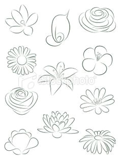 Drawing Flower Motif 361 Best Drawing Flowers Images Drawings Drawing Techniques