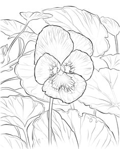 Drawing Flower Movie 77 Best Movie Lover Images Coloring Pages Coloring Pages Of