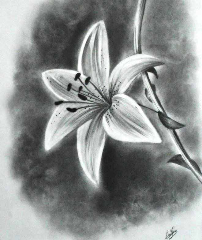 Drawing Flowers 101 Drawing Realism 101 Ile Ilgili Gorsel sonucu Resim A Izme Pencil
