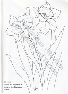 Drawing Flowers 16 126 Nejlepa A Ch Obrazka Z Nasta Nky Flowers Drawing Of Daffodil