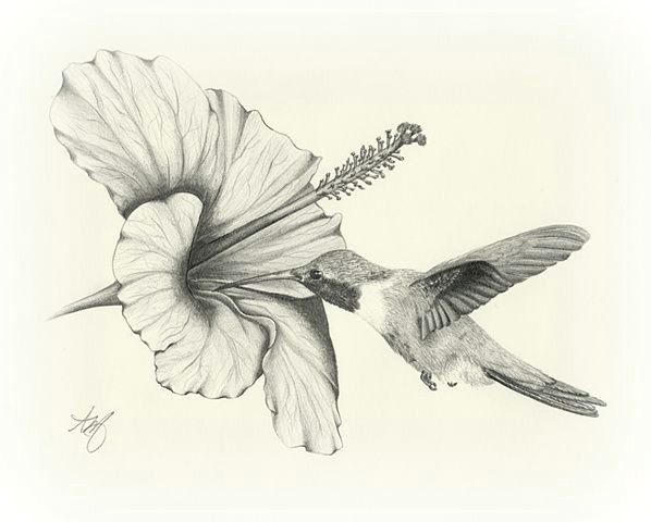 Drawing Flowers and Animals Amazing Pencil Drawings Flowers Drawing Sketch Art Wildlife Bird