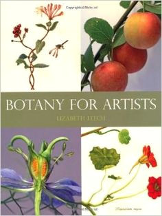 Drawing Flowers and Fruits 36 Best Botanical Art Books Images In 2019 Botanical Drawings