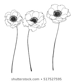 Drawing Flowers and Fruits 461 664 Flower Line Flower Line Drawing Images Royalty Free Stock