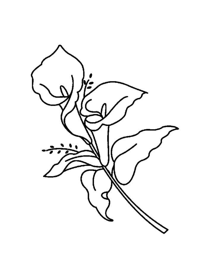 Drawing Flowers and Fruits Flower Coloring Pages 013 Flowers Fruit Garden Building Pics