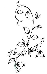 Drawing Flowers and Vines 114 Best How to Draw Flowers and Vines Images Needlepoint Doodle