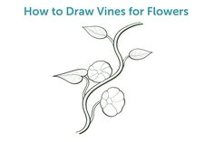 Drawing Flowers and Vines 114 Best How to Draw Flowers and Vines Images Needlepoint Doodle