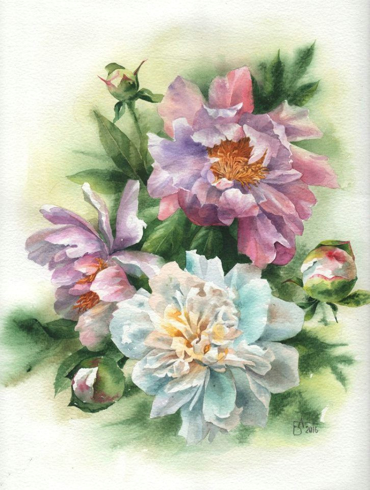 Drawing Flowers Aquarelle D D D N N D N D N D Dµn Dµd D D D Abc Drawing Color Art Painting Watercolor