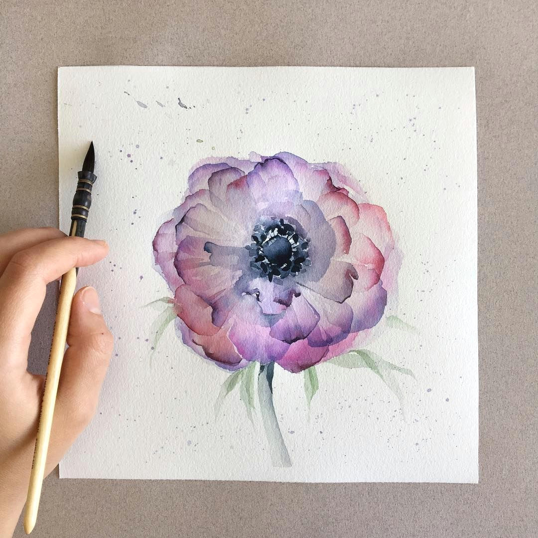 Drawing Flowers Aquarelle Free Hand Watercolor Drawing D Again I Don T Know the Name Of the
