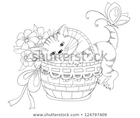 Drawing Flowers Basket Vector Hand Drawing Kitty Bouquet Flowers Stock Vektorgrafik