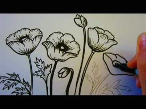 Drawing Flowers Beginners 100 Best How to Draw Tutorials Flowers Images Drawing Techniques