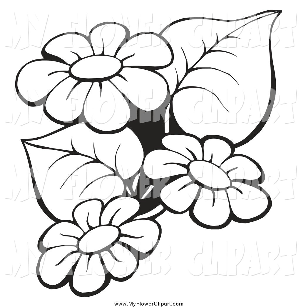 Drawing Flowers Border Flowers Clip Art Border Black and Whiteimage Gallery Image Gallery