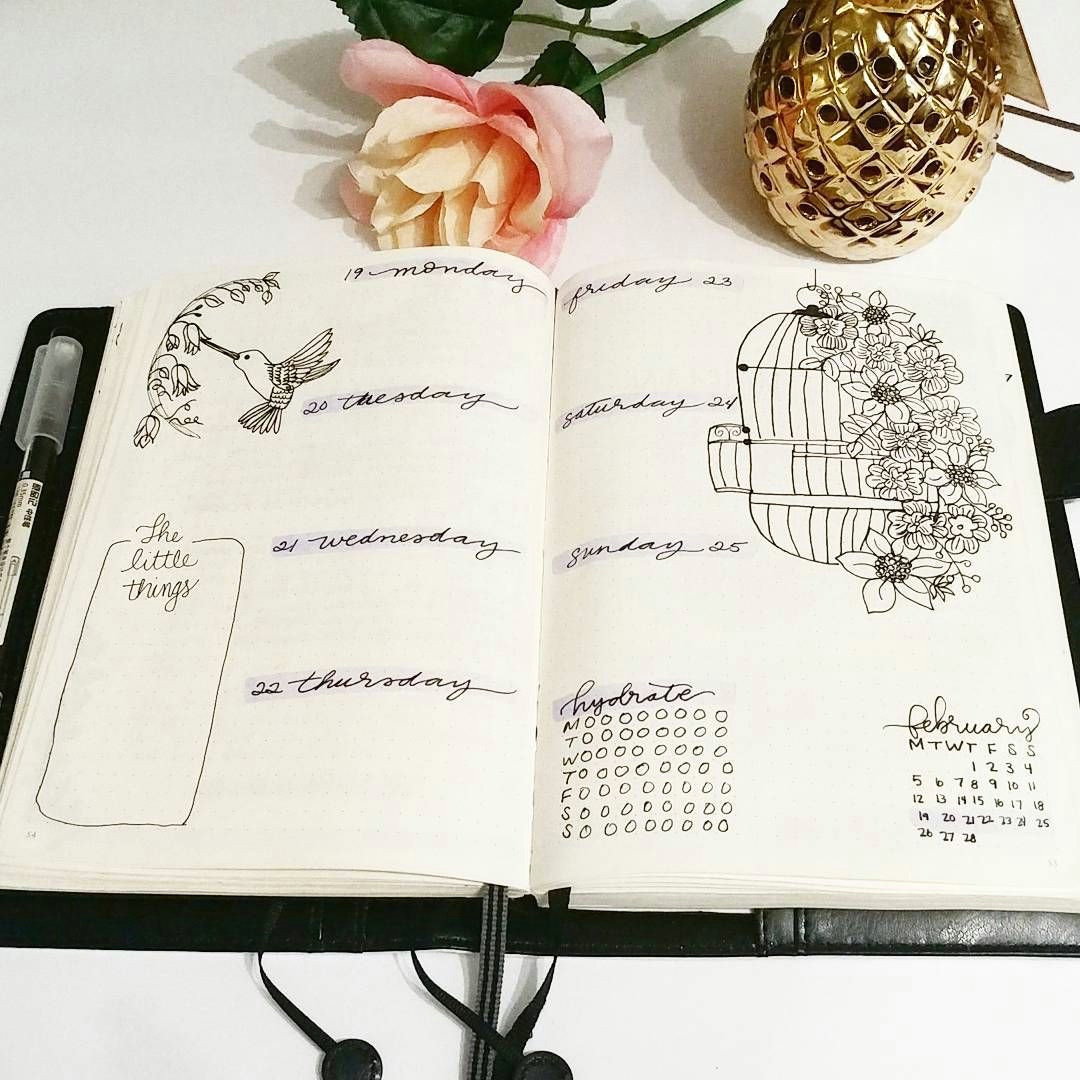 Drawing Flowers Bullet Journal Bullet Journal Weekly Layout Flower Drawing Bird Drawing Birdcage