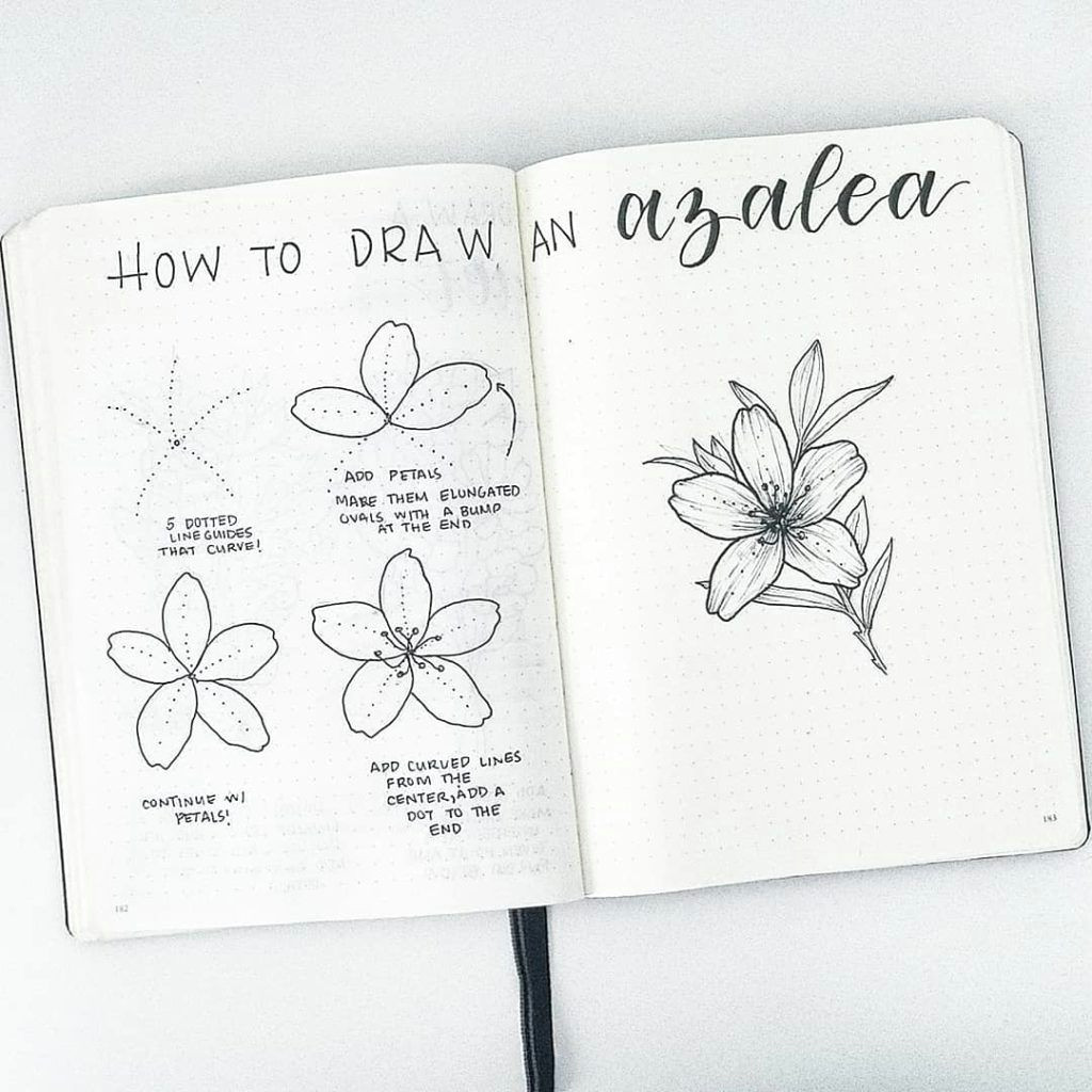 Drawing Flowers Bullet Journal How to Draw Perfect Flower Doodles for Bullet Journal Spreads