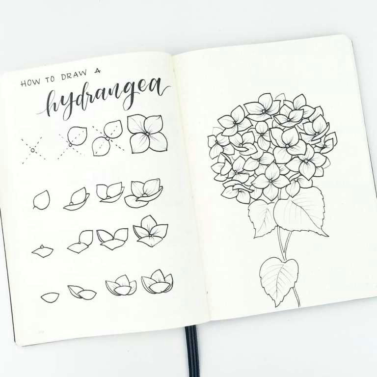 Drawing Flowers Bullet Journal How to Draw Perfect Flower Doodles for Bullet Journal Spreads