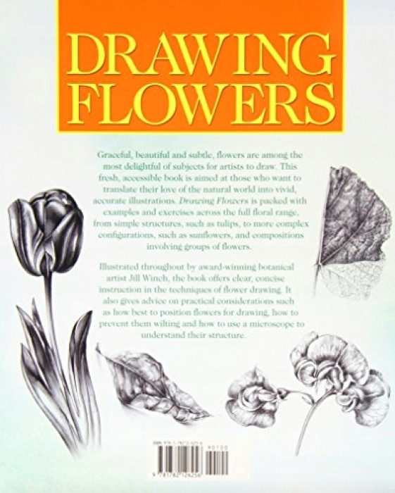 Drawing Flowers by Jill Winch Jill Winch Drawing Flowers 7647464916 Allegro Pl Wia Cej Nia Aukcje