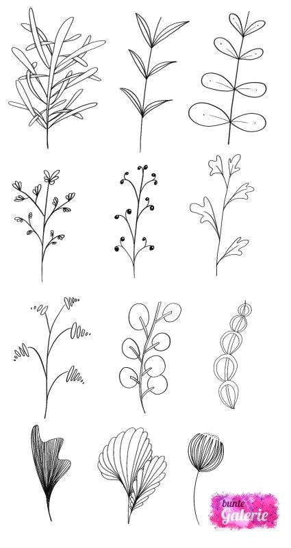 Drawing Flowers Calligraphy Doodle Florale Elemente Fur fortgeschrittene Art Journal Doodles