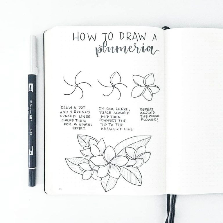 Drawing Flowers Calligraphy How to Draw Perfect Flower Doodles for Bullet Journal Spreads