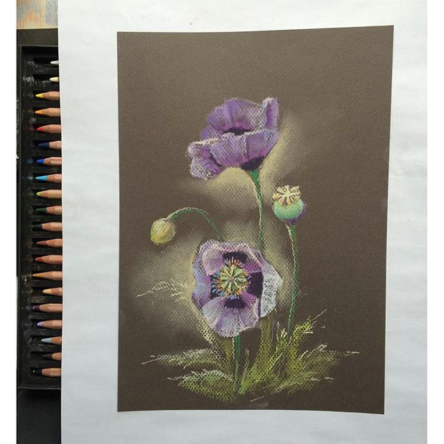 Drawing Flowers Chalk Pin by Bebe Panda On Ig Pastel Drawing Pastel Art Pastel Artwork