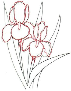 Drawing Flowers Course 491 Best Draw Flowers Images In 2019 Drawings Paint Painting
