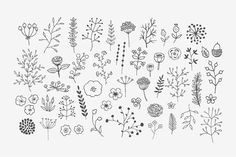 Drawing Flowers Doodling 2104 Best Doodles to Doodle Images In 2019 Doodles Easy Drawings