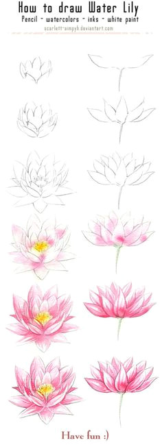 Drawing Flowers for Beginners Step by Step 101 Best Drawing Tutorial Images Ideas for Drawing Drawing