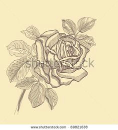 Drawing Flowers for Cards 86 Best Drawing Flowers Images Pencil Drawings Drawing Flowers