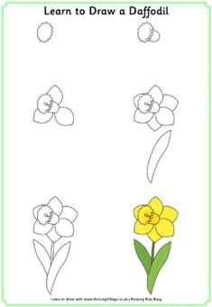 Drawing Flowers for Preschoolers 87 Best How to Draw Flowers Plants Images Drawing Flowers