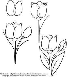 Drawing Flowers for Preschoolers 87 Best How to Draw Flowers Plants Images Drawing Flowers