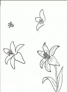 Drawing Flowers From Different Angles 3108 Best How to Draw something I Ve Wanted to Do for so Long Images