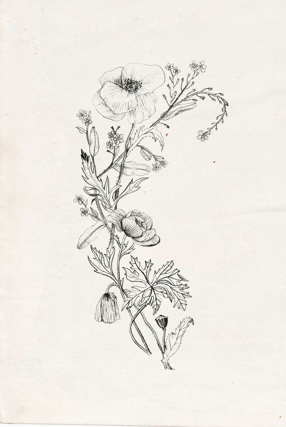 Drawing Flowers From the Side Pin by Cindy On Drawings Pinterest Tattoo Tatting and Tatoos