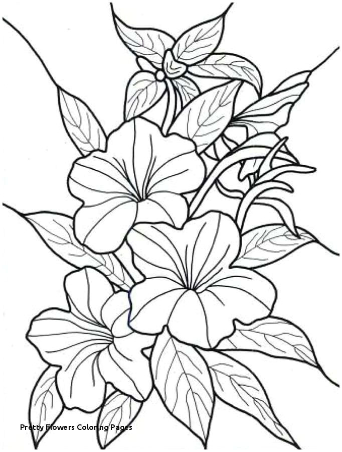Drawing Flowers Hard Here is A Method that is Helping Flower Coloring Sheets