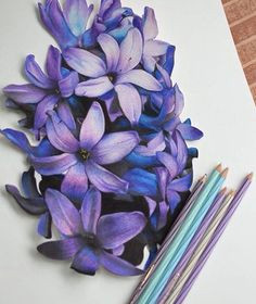 Drawing Flowers In Colored Pencil 157 Best Colored Pencil Blending Images In 2019 Colouring Pencils