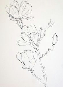 Drawing Flowers In Ink 1412 Nejlepa A Ch Obrazka Z Nasta Nky Flower Drawings Drawings