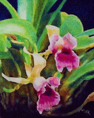 Drawing Flowers In Pastels Pastel Drawing Tutorial Pink orchids Crafts Art Pastel Drawing