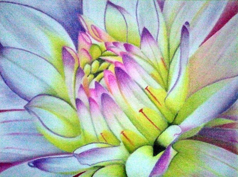 Drawing Flowers In Pastels soft Pastel Drawings Recherche Google Dahlia Sunflower Rose