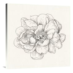 Drawing Flowers In Pen 3272 Best Art Drawing Flowers Images In 2019 Colouring Pencils