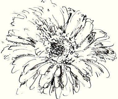 Drawing Flowers In Pen and Ink How to Draw and Sketch Flowers In Various Mediums