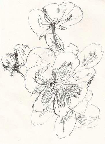 Drawing Flowers In Pen Sketch Pansies Drawing Flowers Ink Pen Drawings Drawings Sketches