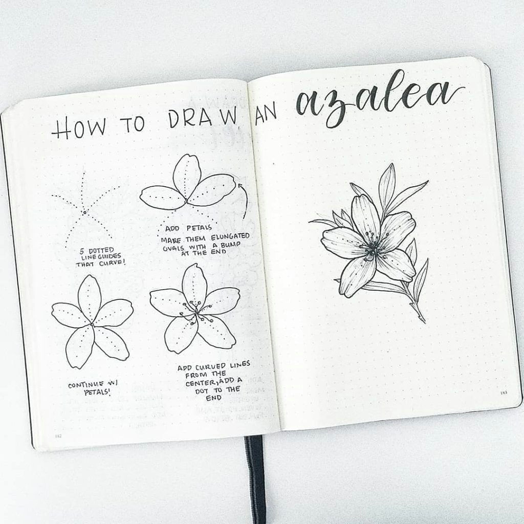 Drawing Flowers Journal How to Draw Perfect Flower Doodles for Bullet Journal Spreads