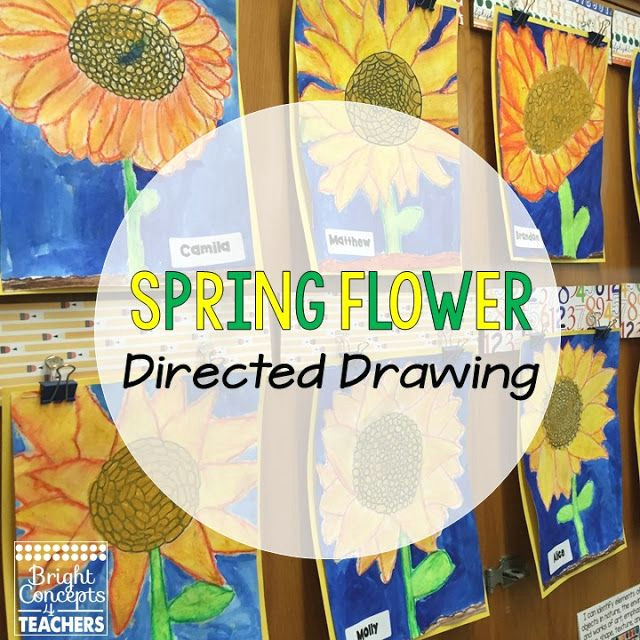 Drawing Flowers Lesson Plans Directed Drawings More Than Just Art Teaching Pinterest