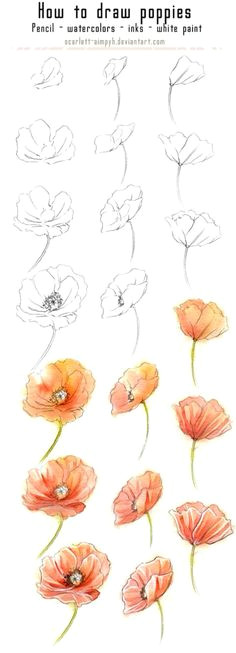 Drawing Flowers Made Easy 427 Best Drawing Made Easy Images Pencil Drawings Drawings